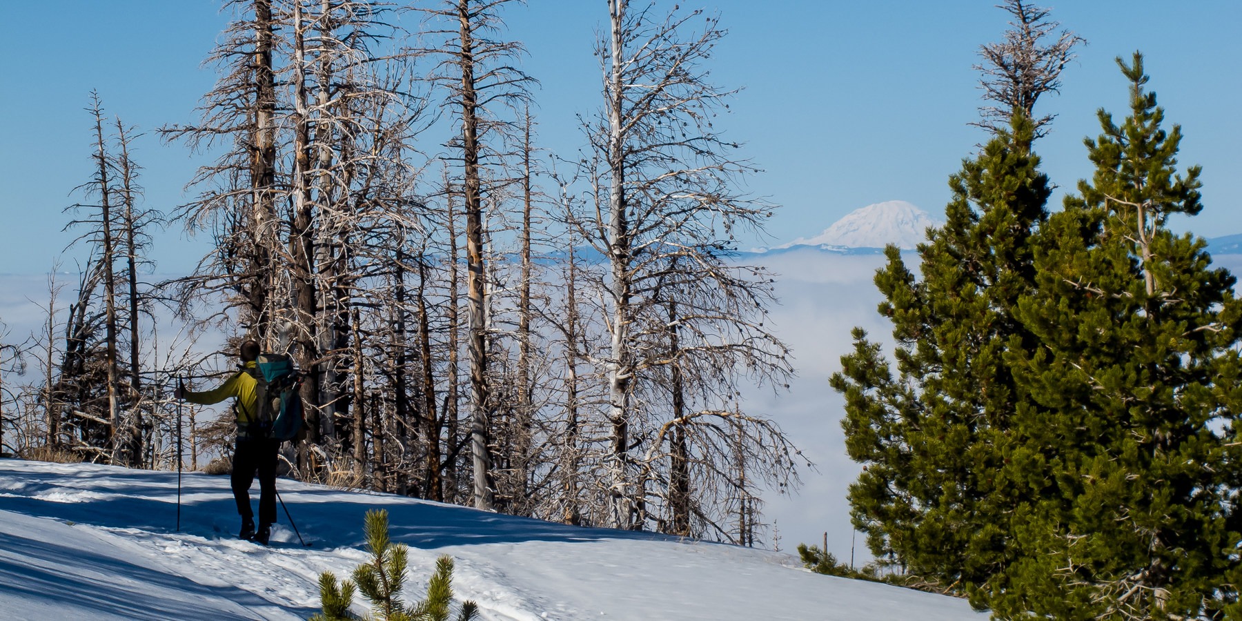 Snowshoeing On Mount Hood - Outdoor Project