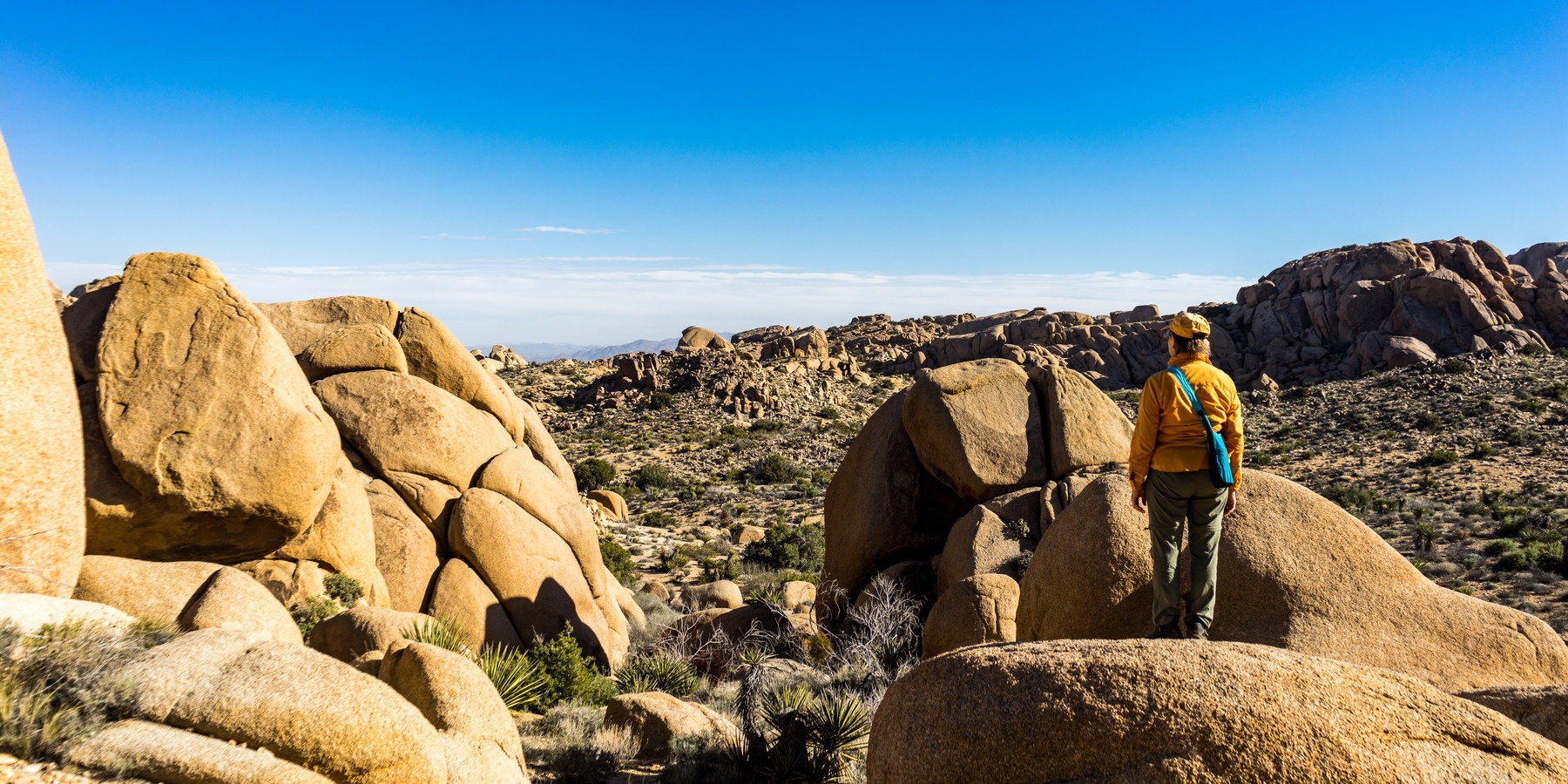 11 Best Day Hikes In Joshua Tree National Park - Outdoor Project