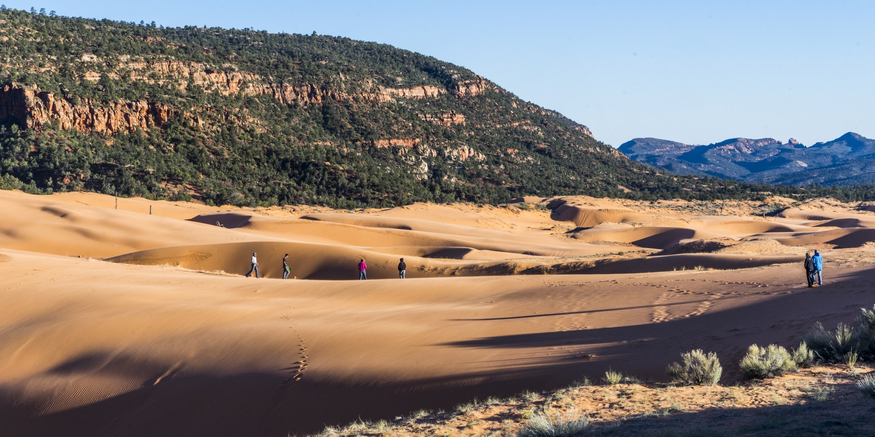 Coral Pink Sand Dunes State Park | Outdoor Project