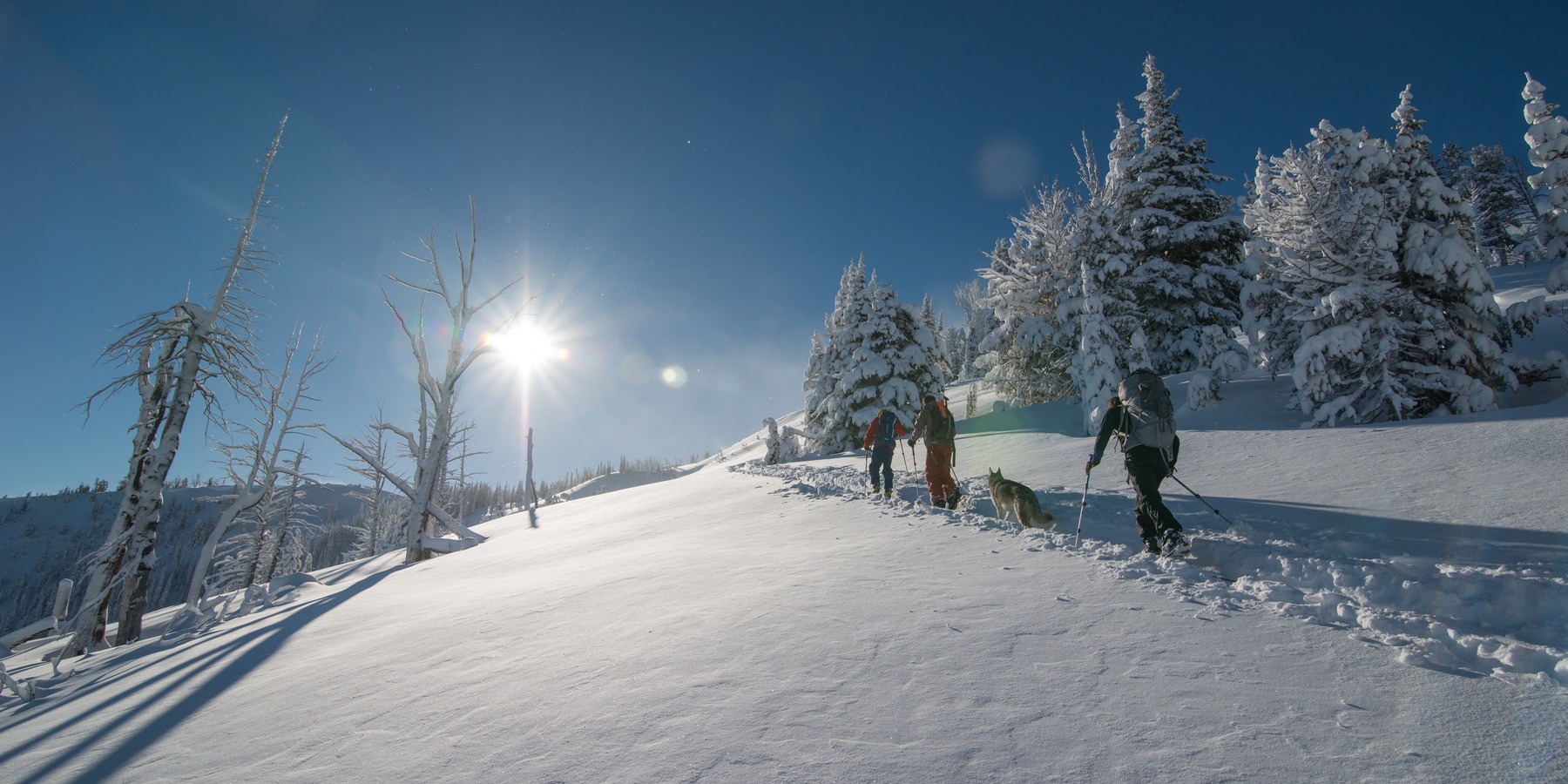 Backcountry Skiing in Oregon's Wallowa Mountains - Outdoor Project