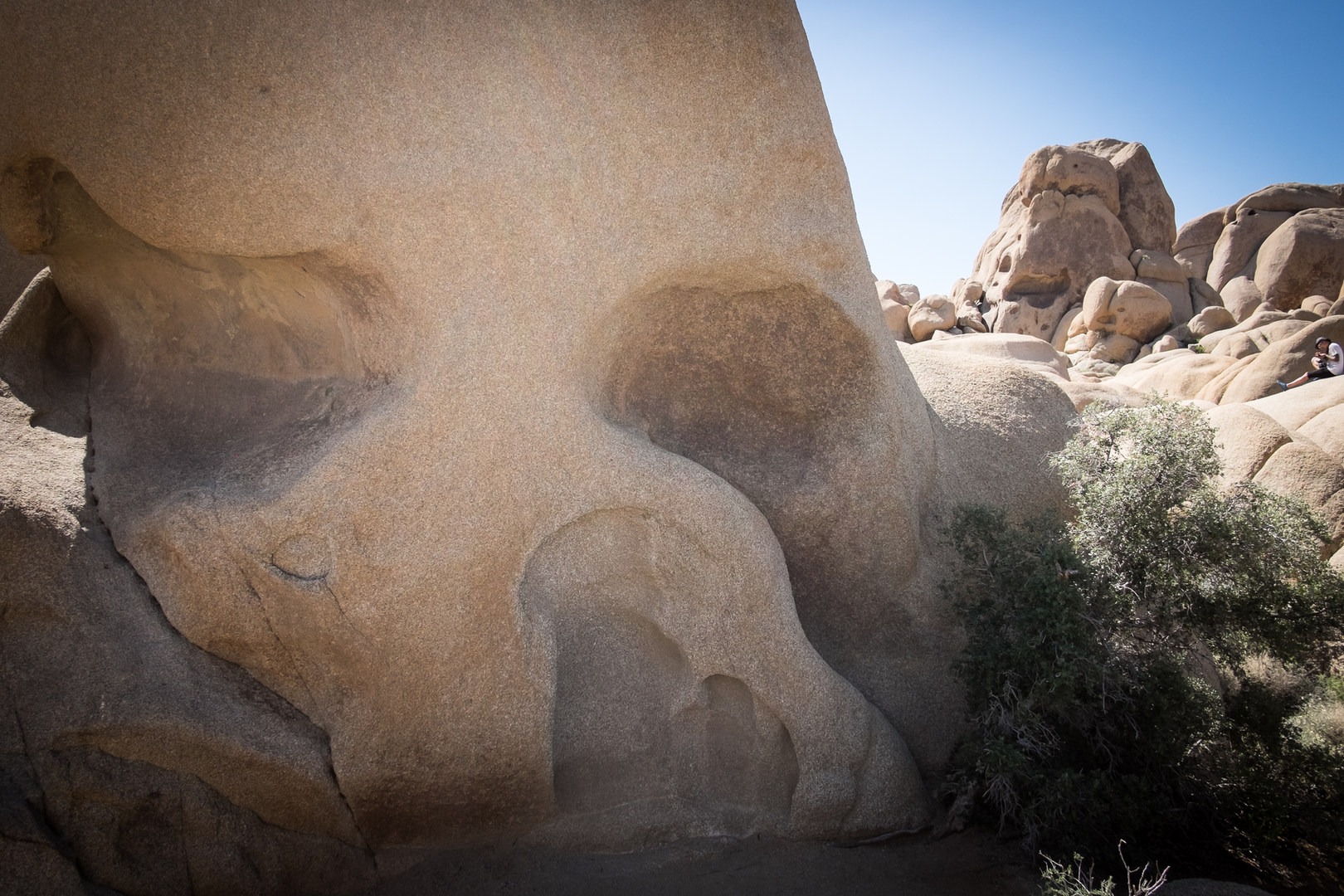 11 Best Day Hikes In Joshua Tree National Park - Outdoor Project