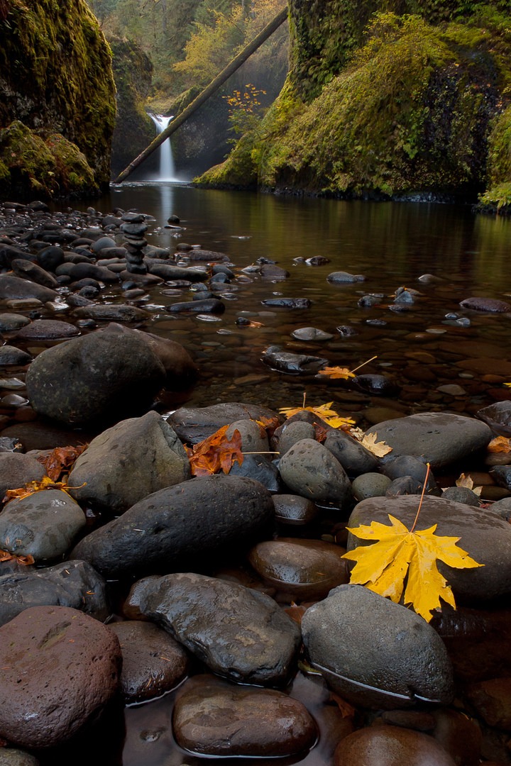 Best Fall Hikes Near Portland - Outdoor Project