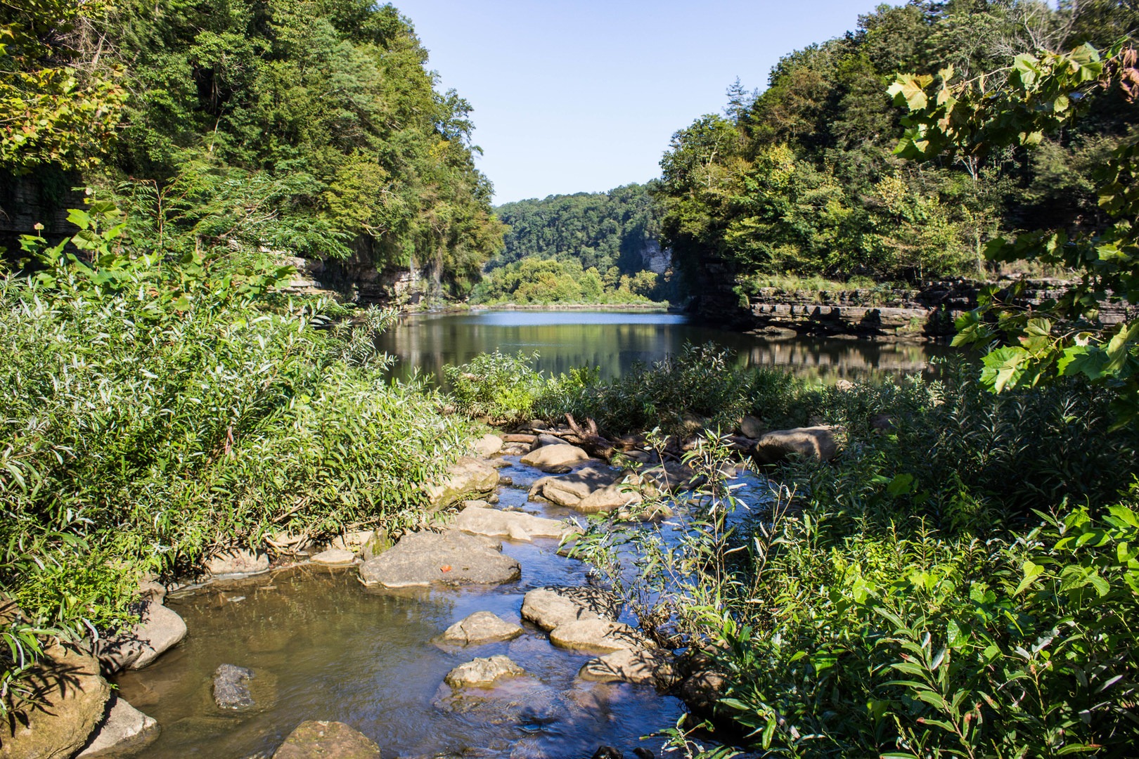 10 Must-Do Hikes Near Nashville, Tennessee - Outdoor Project