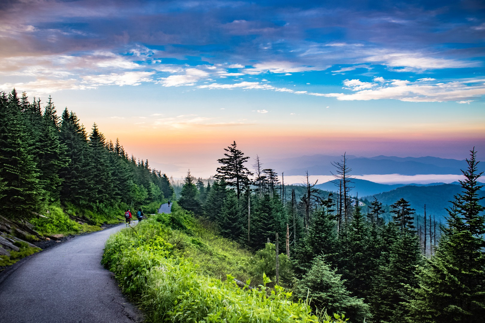 Clingmans Dome Outdoor Project   Img 7236 