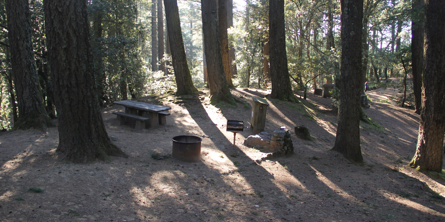 Camping On The Northern California Coast Outdoor Project