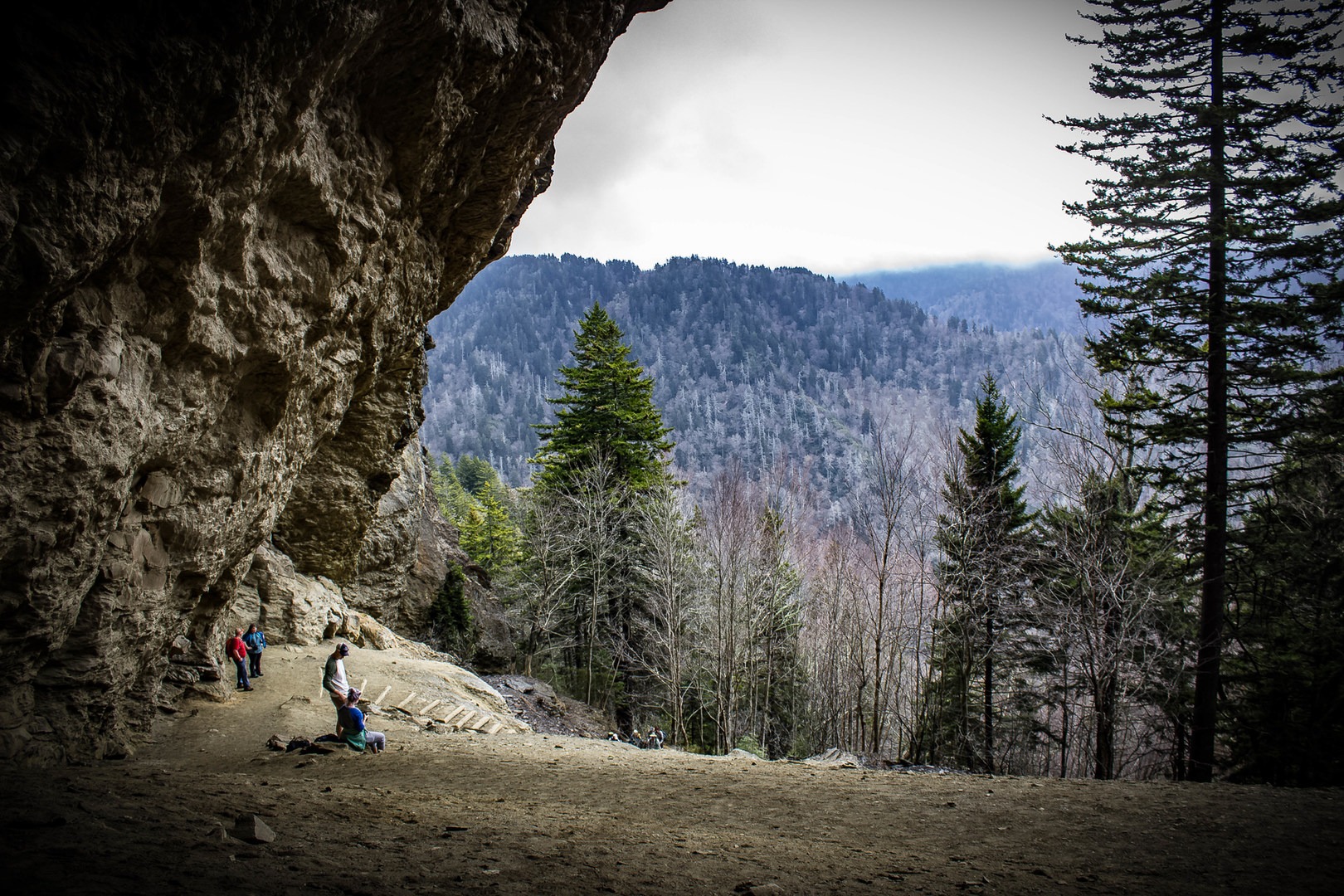 Randonnée Dans Les Great Smoky Mountains