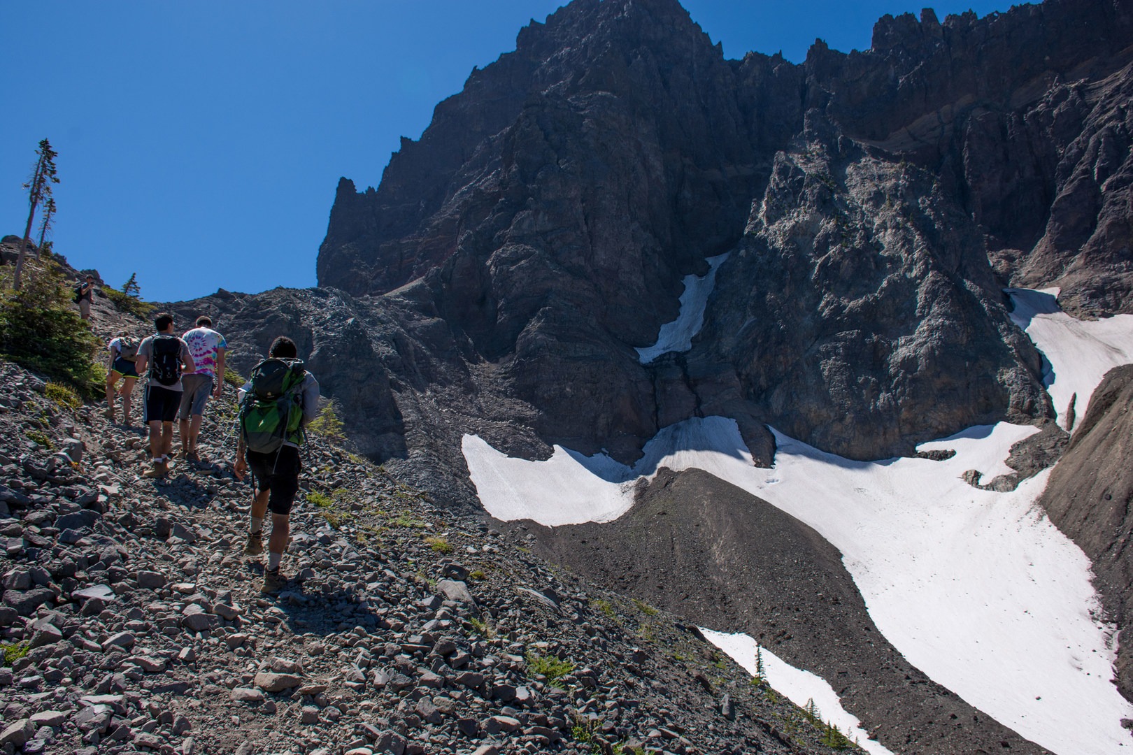 Canyon Creek Meadows - Lab Three FingereD Jack 5940