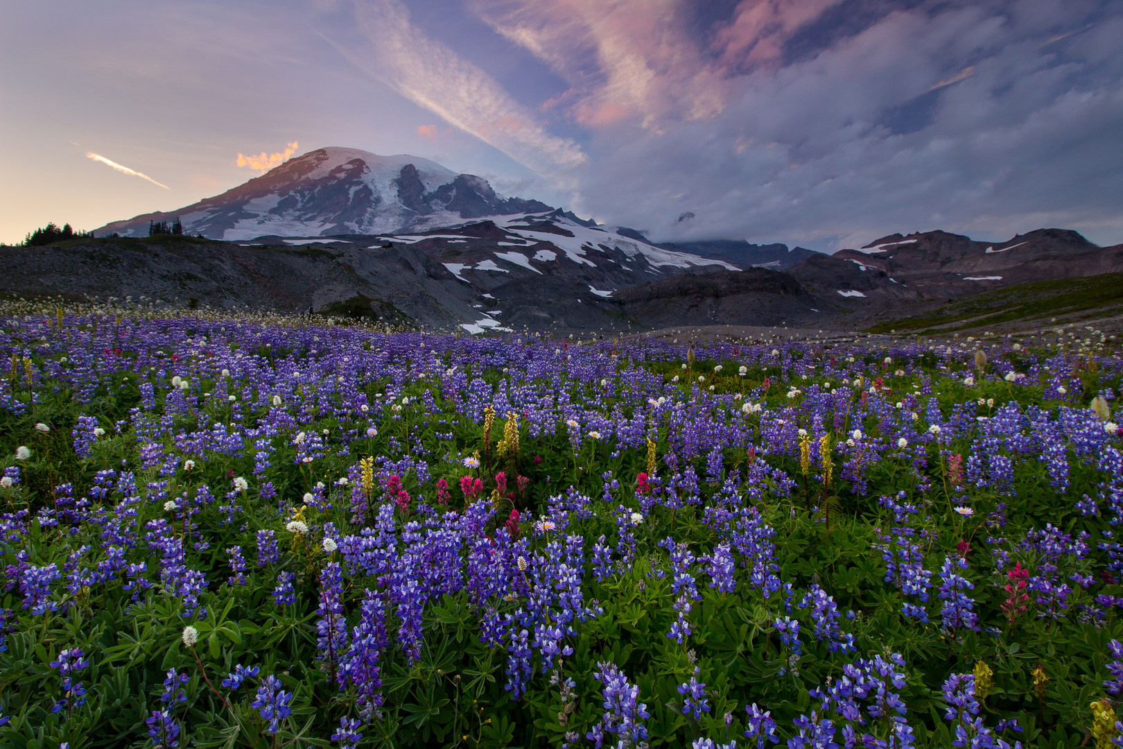 12 Reasons to Visit Mount Rainier National Park - Outdoor Project