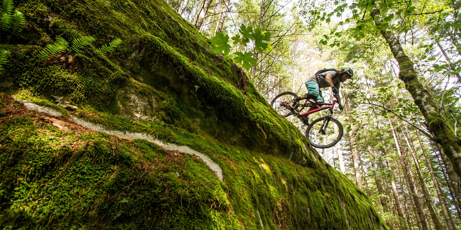 Mountain Biking In British Columbia - Outdoor Project