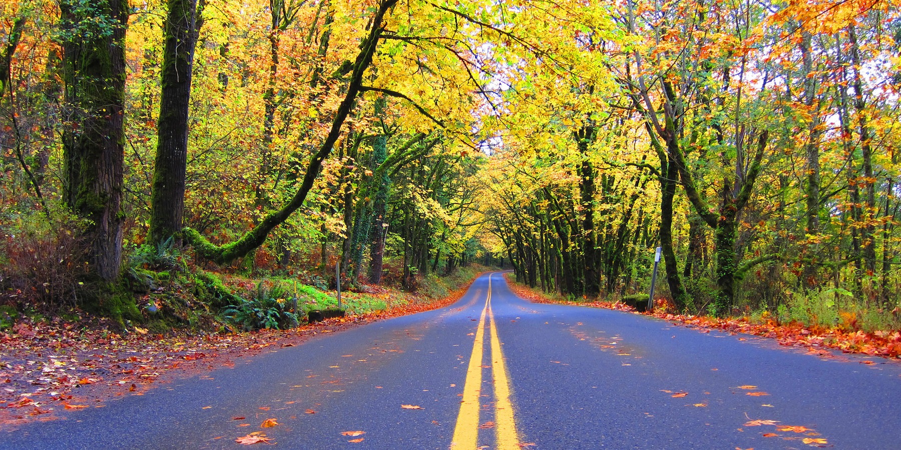 20 Great Fall Hikes In Oregon - Outdoor Project