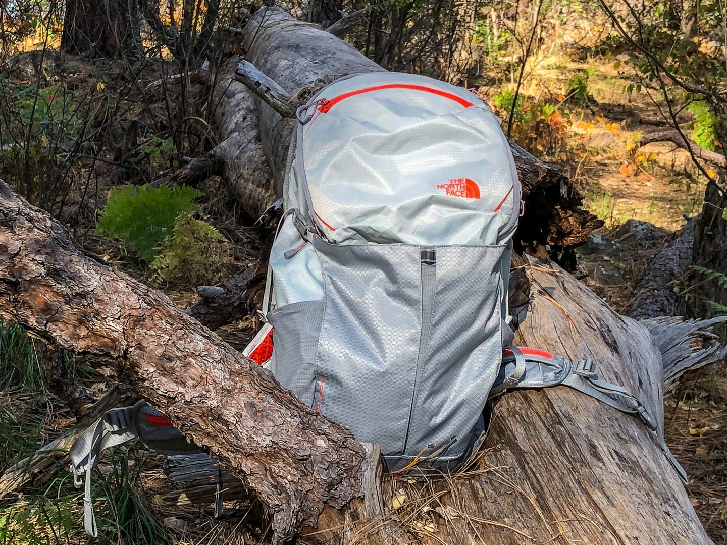 the north face backpack near me