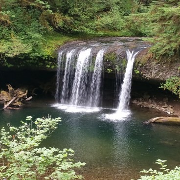 Butte Creek Falls Hike | Outdoor Project