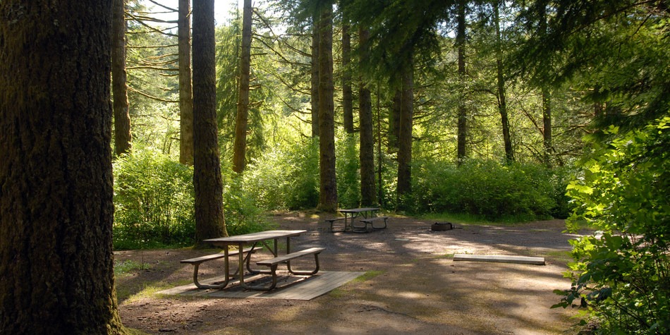 Silver Falls State Park Campground | Outdoor Project - Campgrounds ...