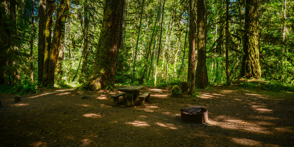 McKenzie Bridge Campground | Outdoor Project - Campgrounds, Campsites