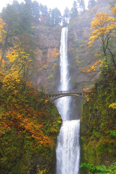 Multnomah Falls and Creek Hike | Outdoor Project - Hiking, Backpacking