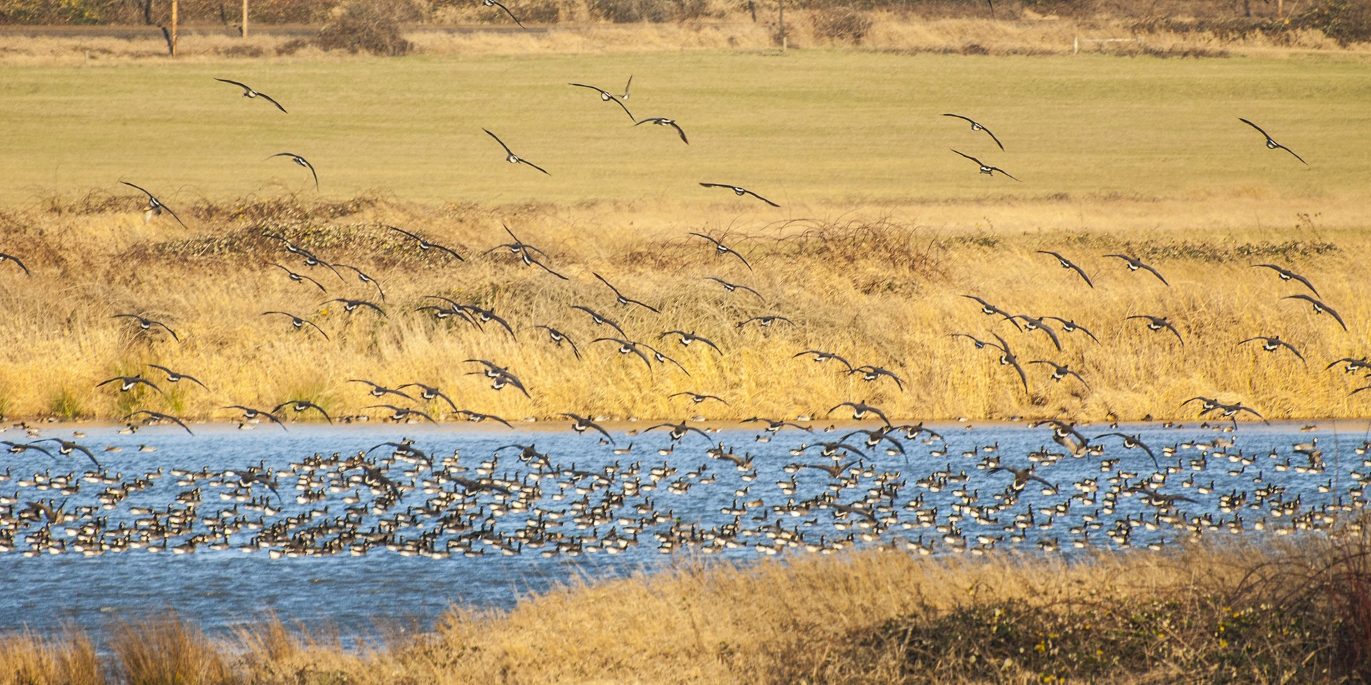 Steigerwald Lake National Wildlife Refuge | Outdoor Project