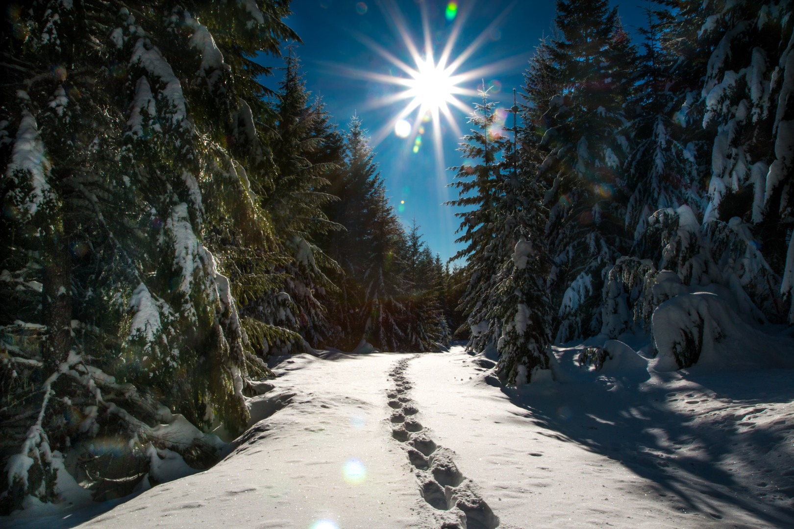 Ikenick Sno-Park Snowshoe | Outdoor Project