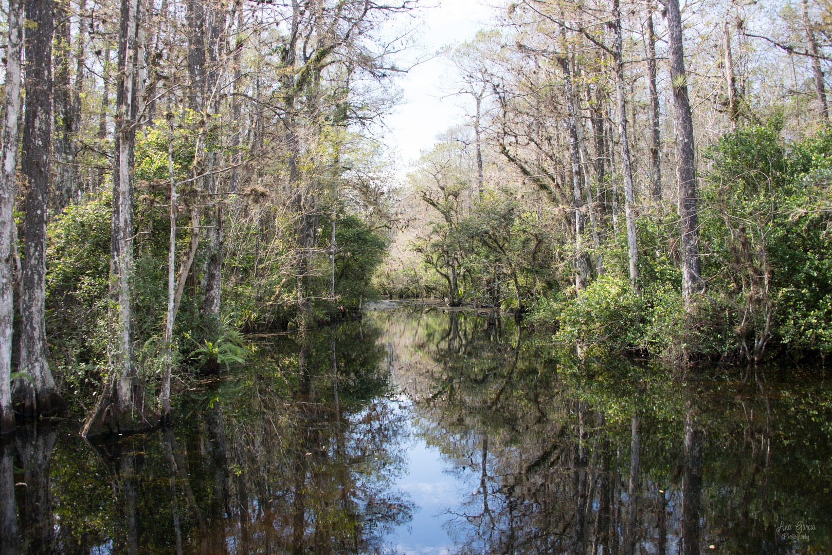 Loop Road Scenic Drive 