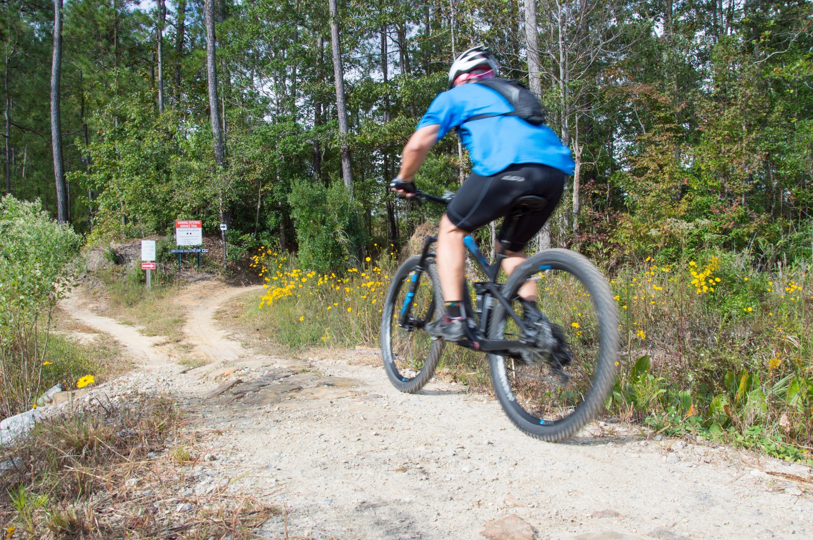 Brunswick mountain bike trails best sale