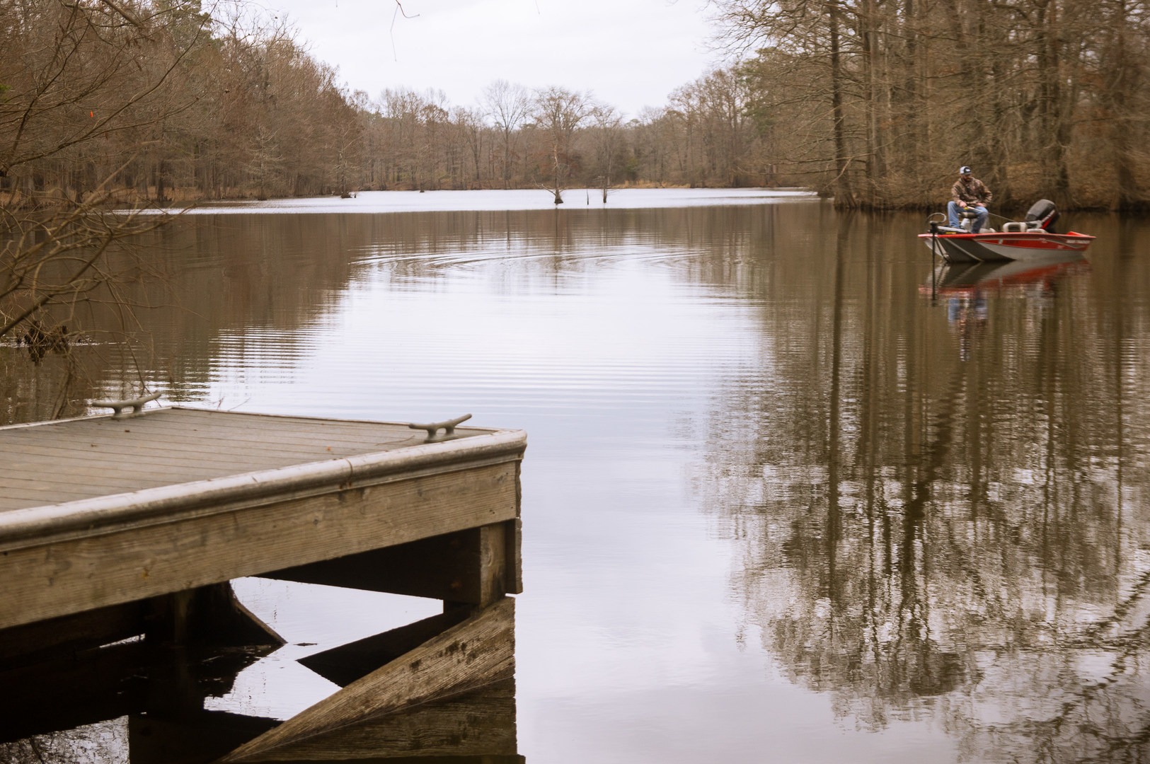 Louisiana's Hidden Gem: Chemin-A-Haut State Park - Where Adventure Meets Tranquility