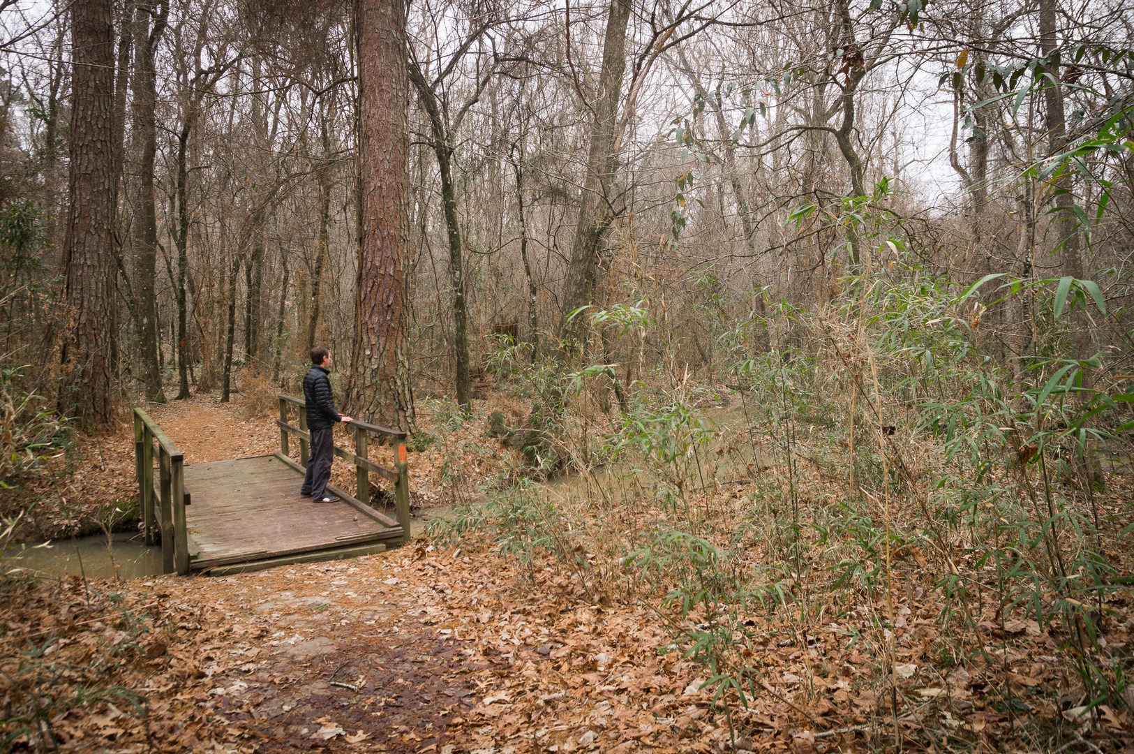 Chicot state 2025 park hiking