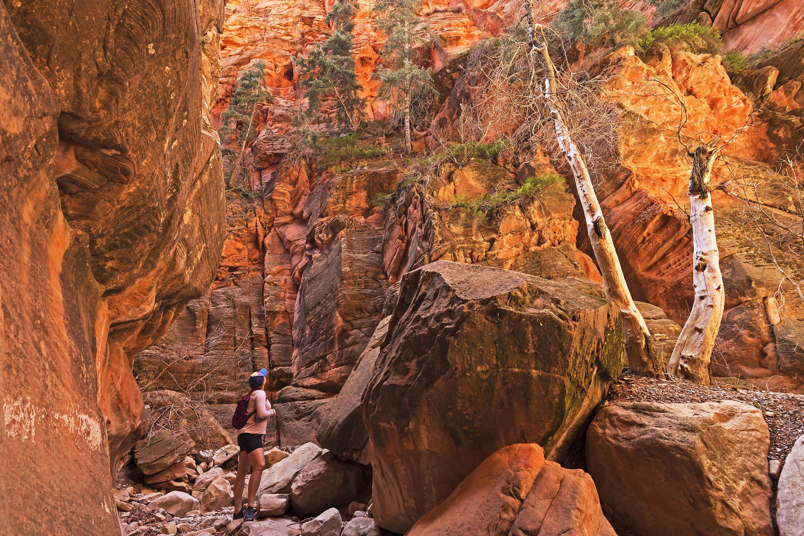 Spring Creek Canyon Outdoor Project