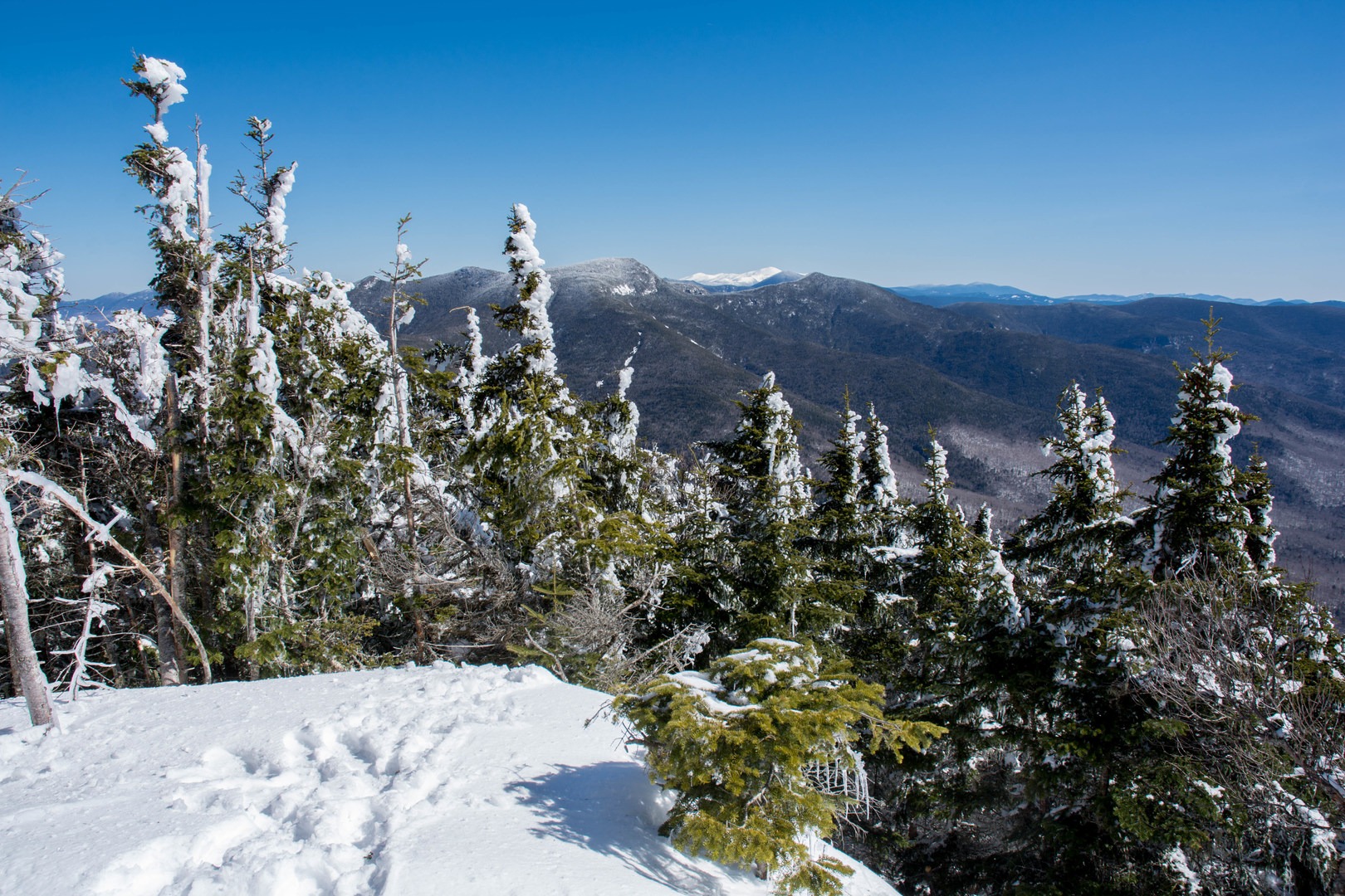 Mount Tecumseh Snowshoe | Outdoor Project