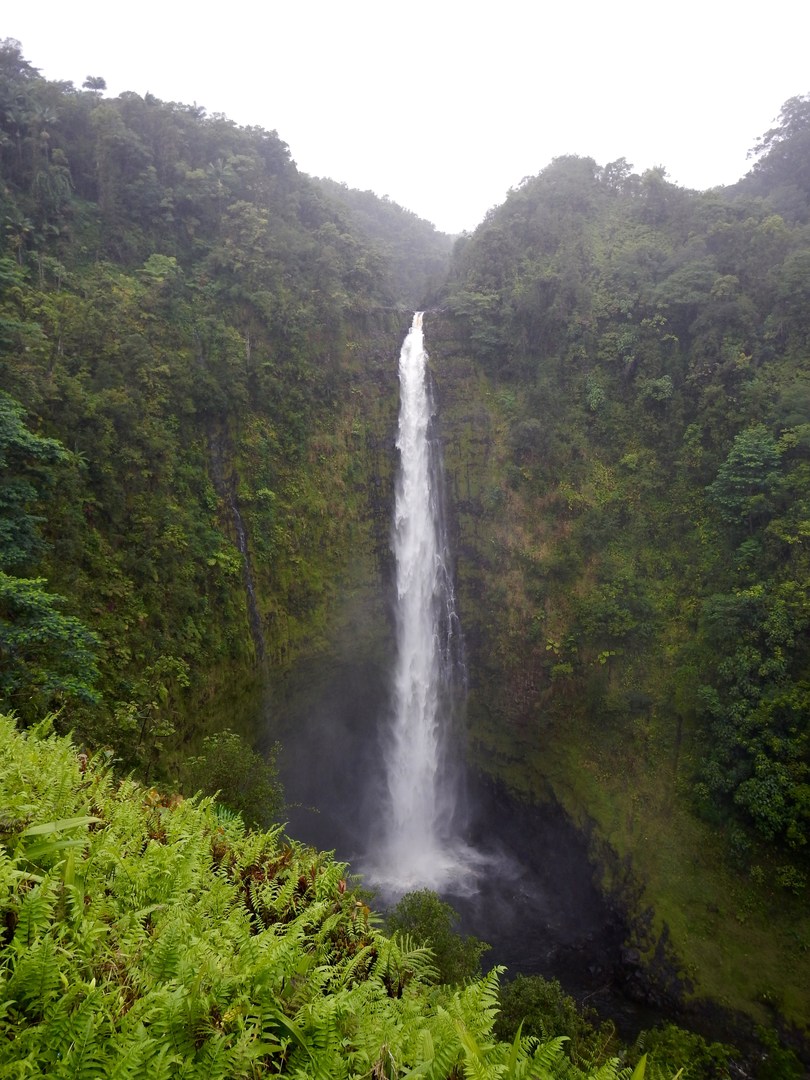 ‘Akaka Falls State Park | Outdoor Project