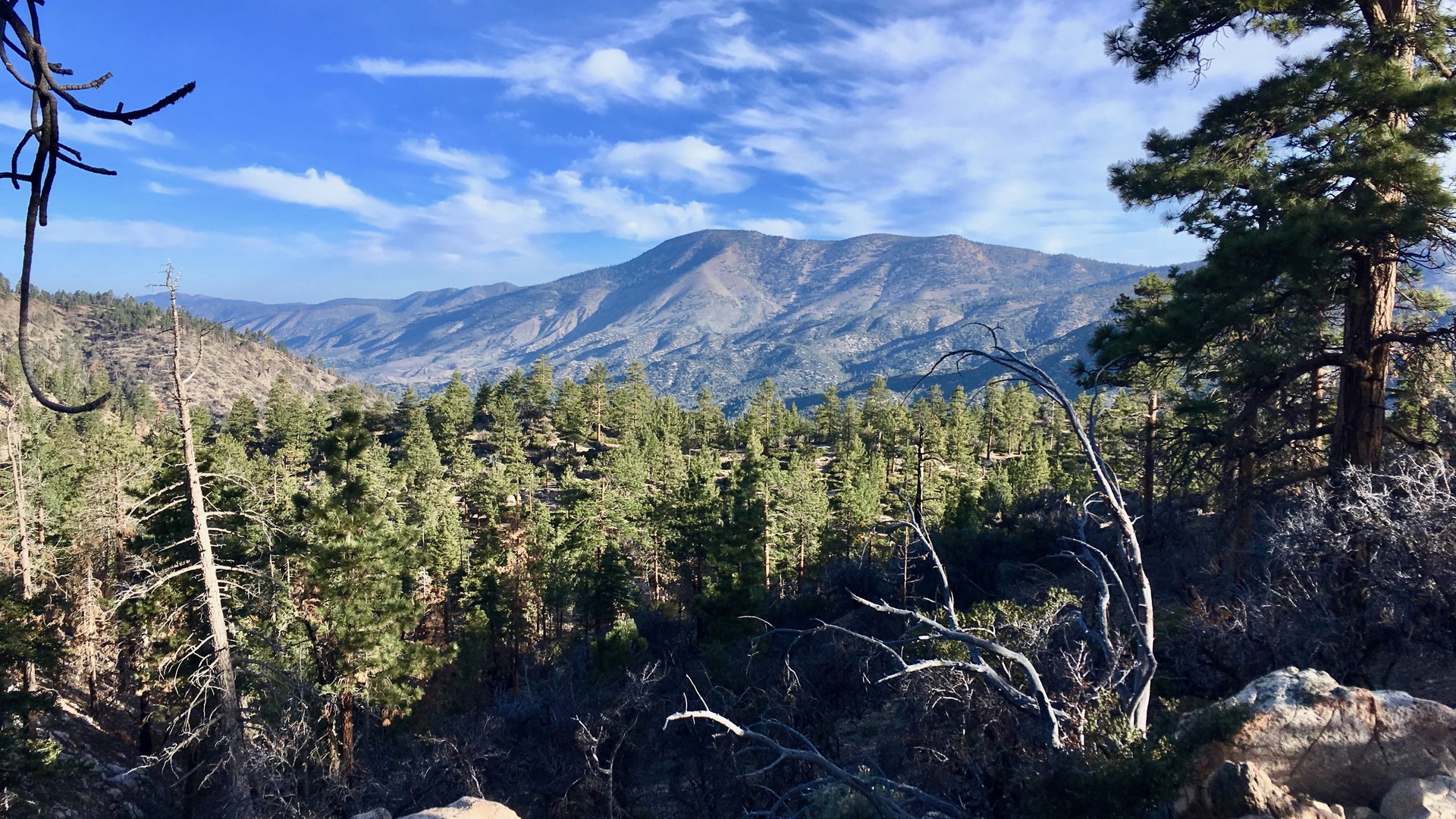 Pacific Crest Trail: California Section C | Outdoor Project