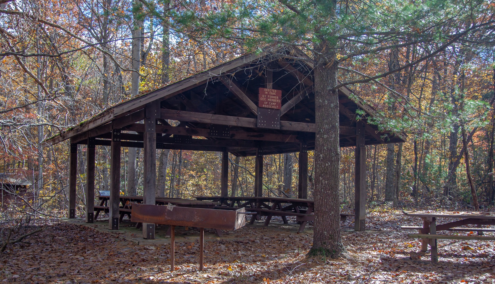 Camp Roosevelt Campground | Outdoor Project