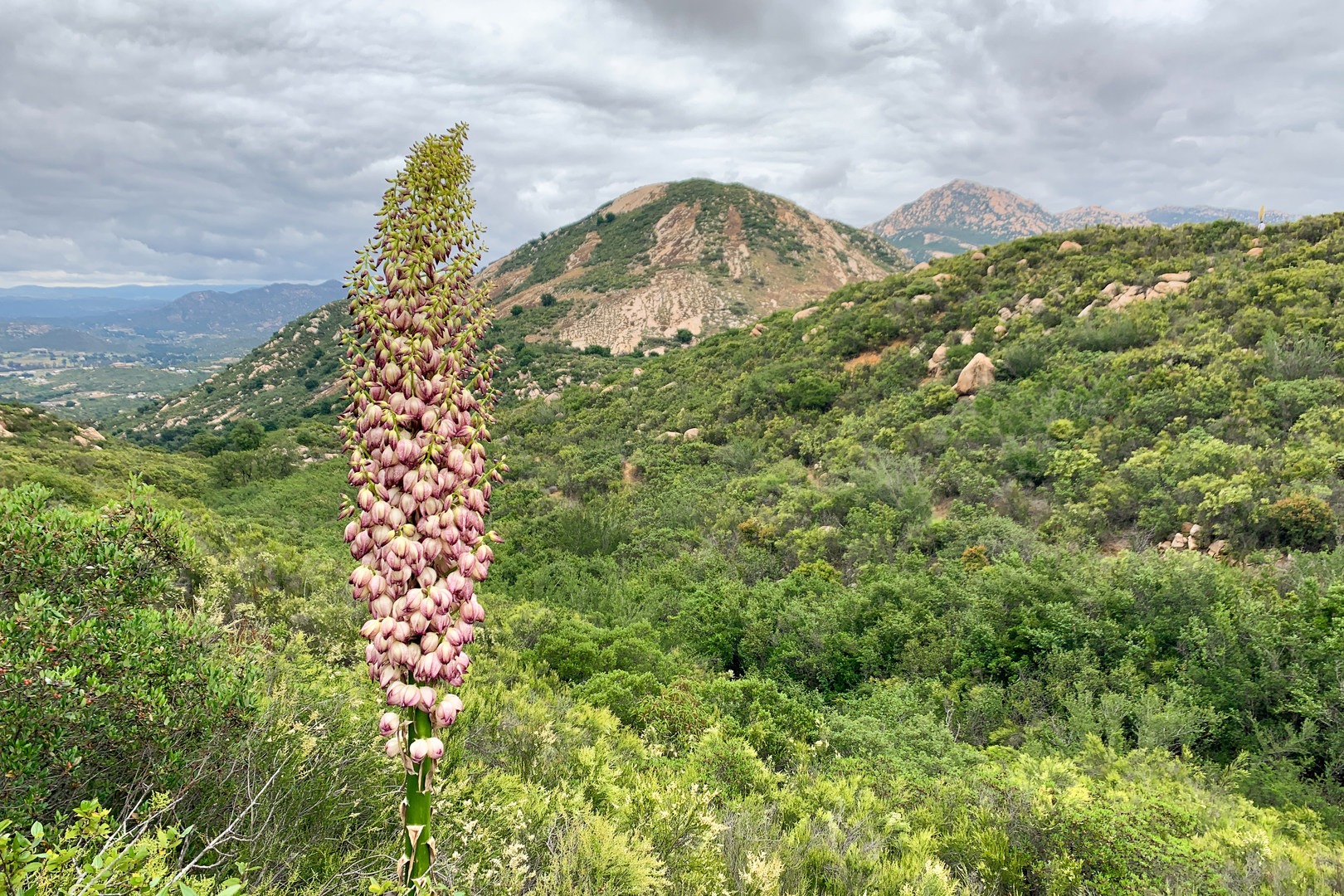 El Cajon Mountain | Outdoor Project