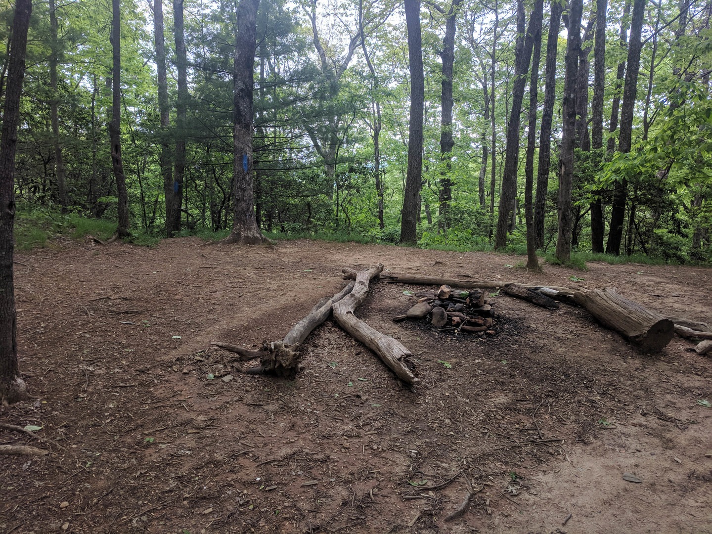 Brasstown Bald via Appalachian Trail | Outdoor Project