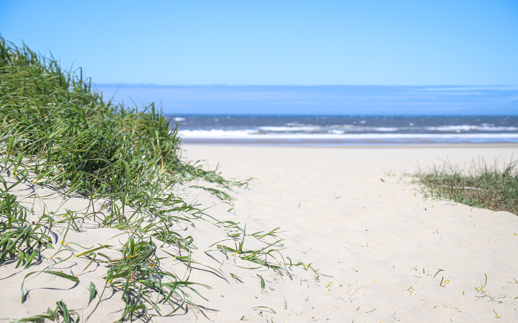 Discover Heceta Beach County Park: Your Ultimate Travel Guide