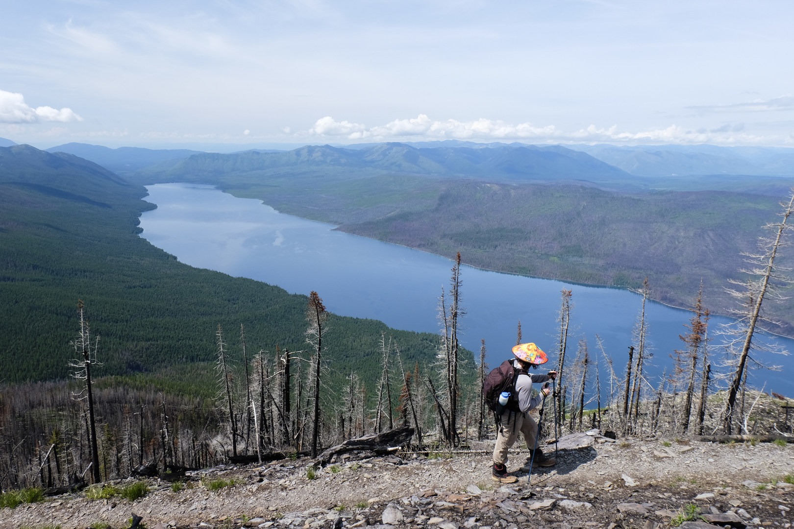 Mount Brown Lookout | Outdoor Project