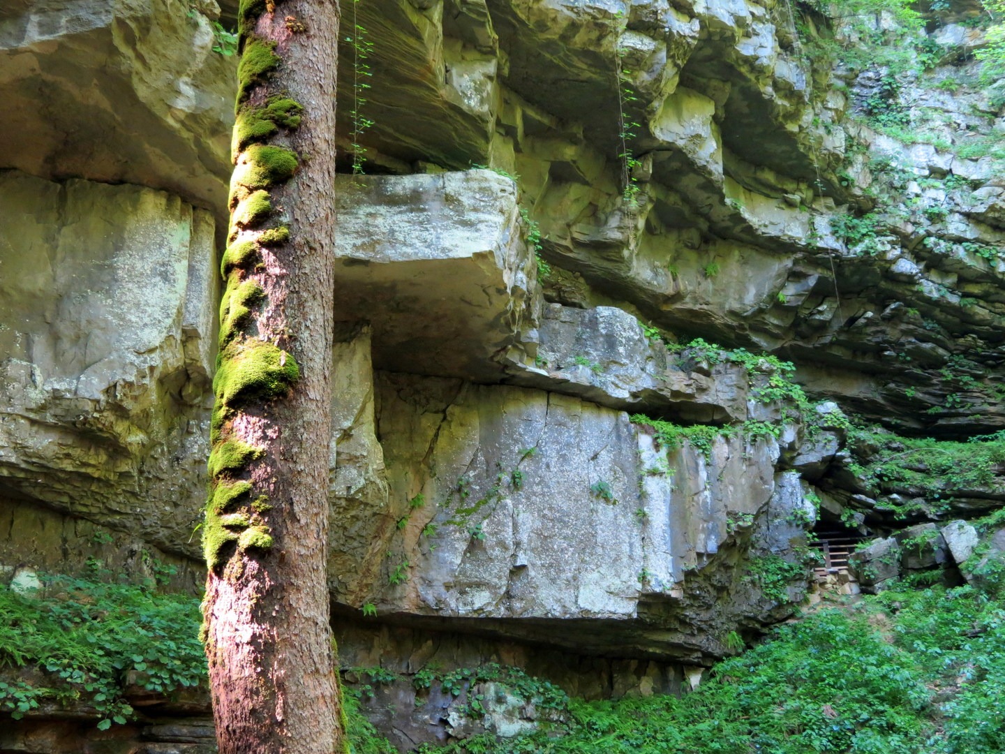 Cedar Sink Trail | Outdoor Project