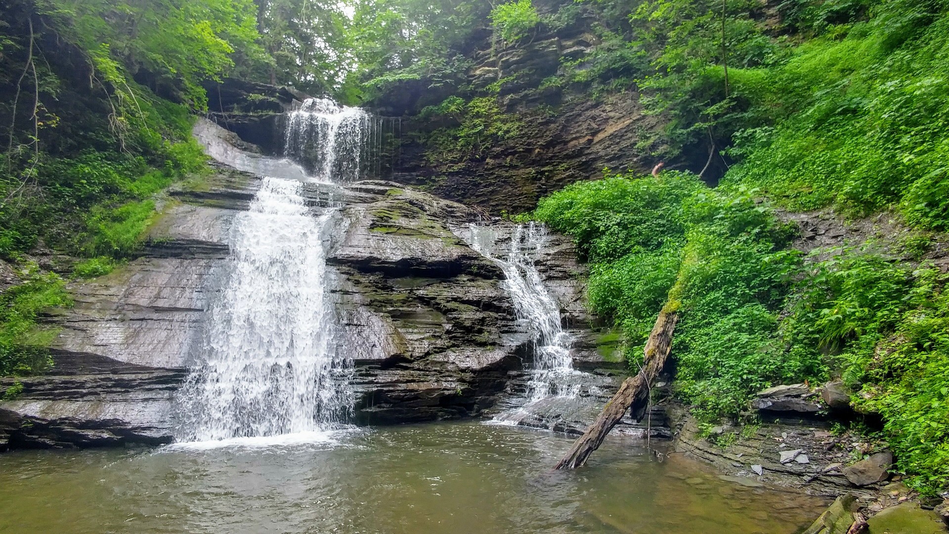 Tannery Creek Walk | Outdoor Project