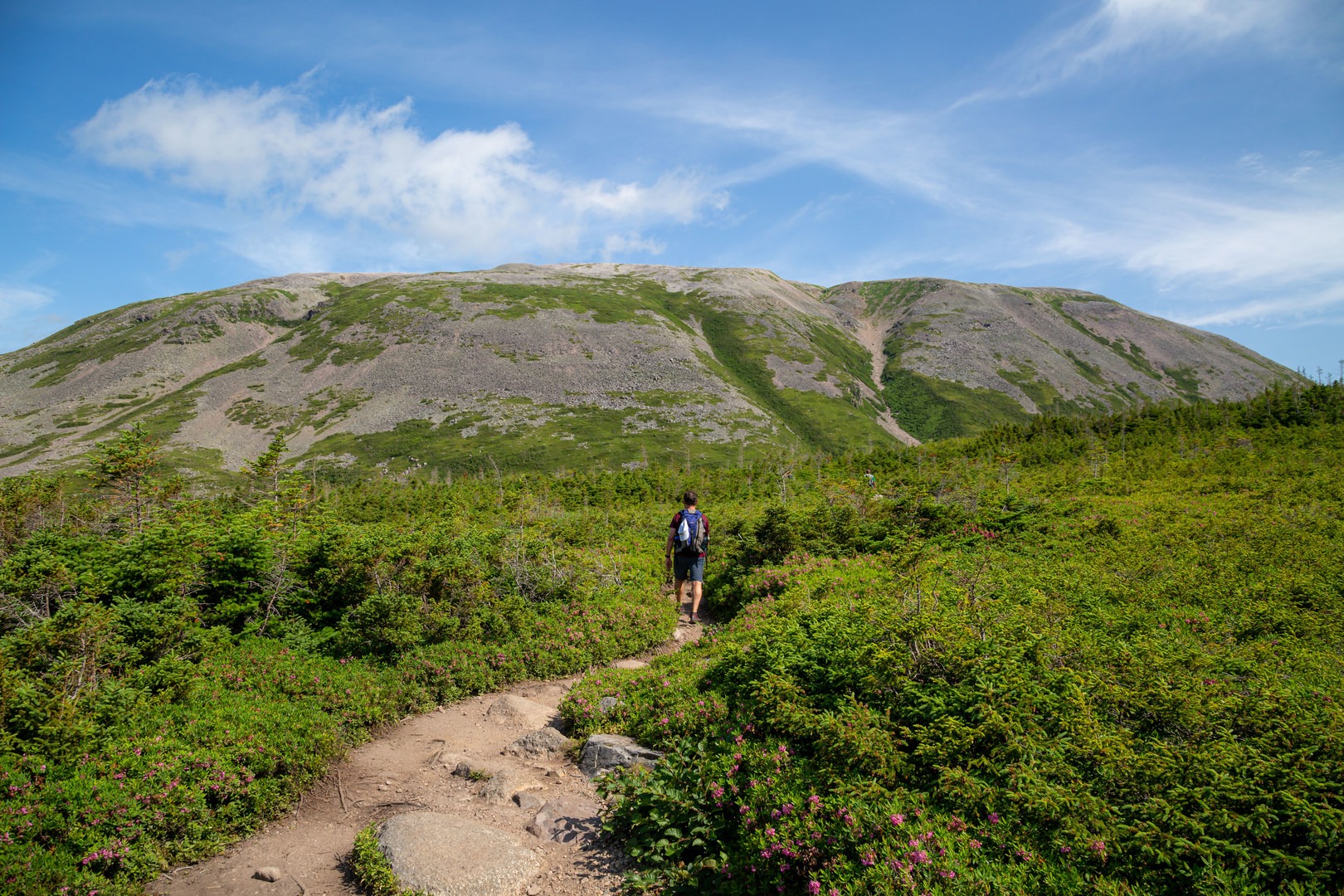 Gros Morne and Bakeapple Pond Hike | Outdoor Project