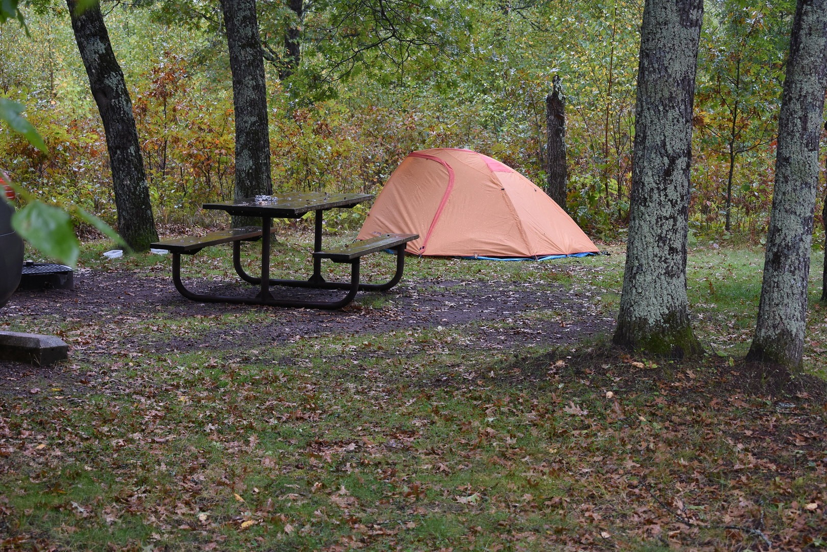 Paint Rock Springs Campground Outdoor Project   Dsc 9549 473 