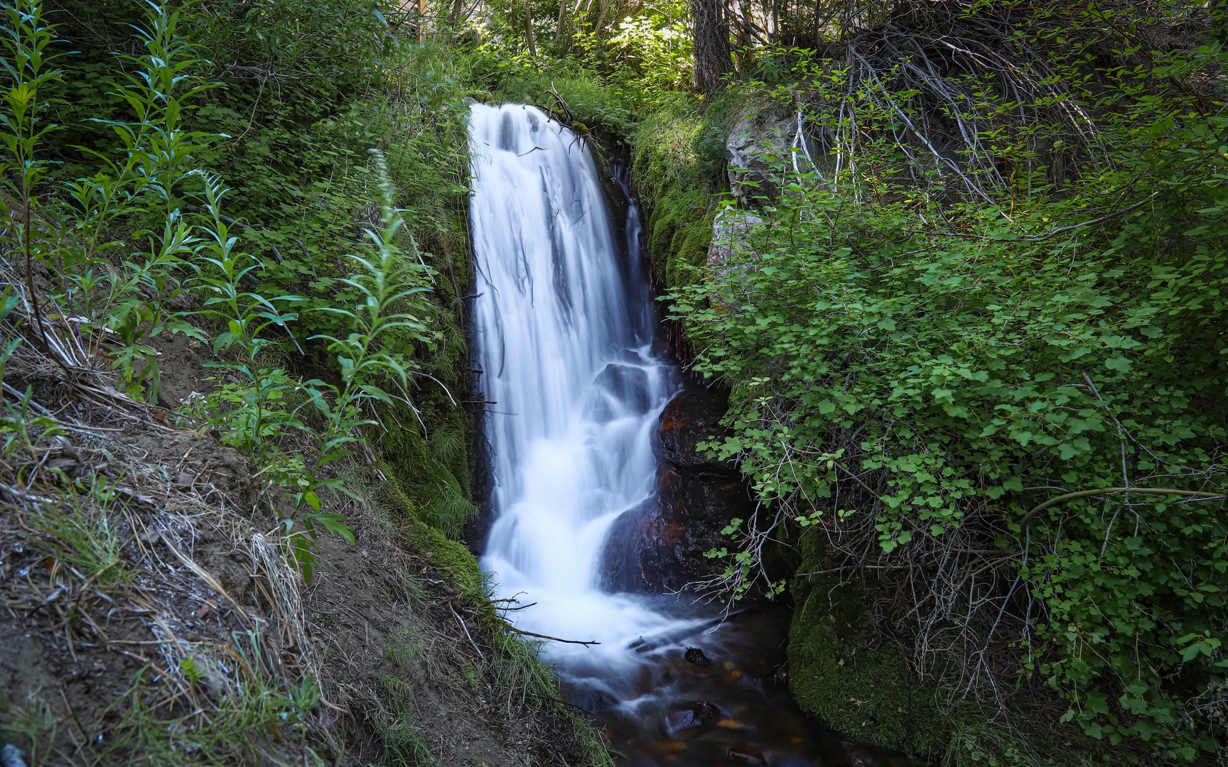 Kings 2025 canyon waterfall