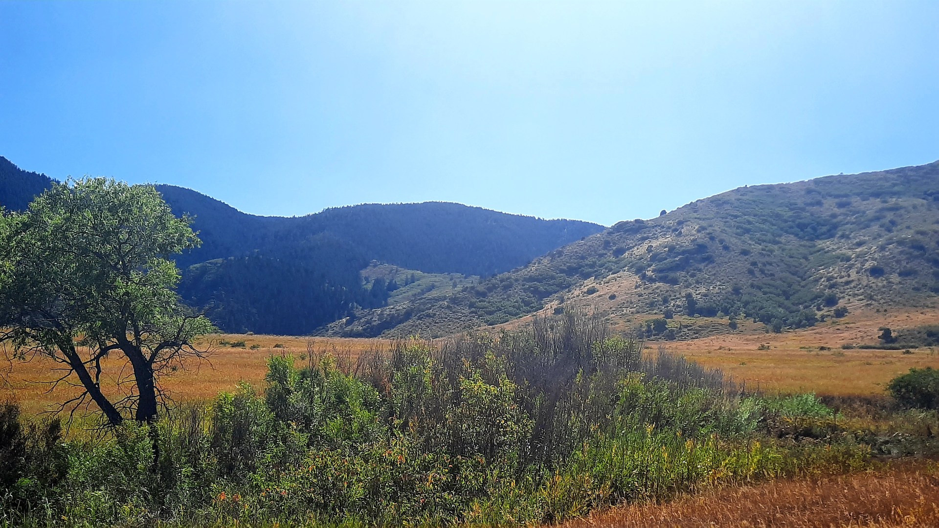 South Valley Park South Trailhead | Outdoor Project