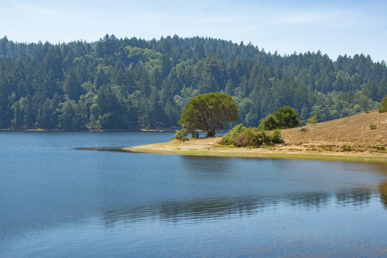 Bon Tempe Lake Lake Lagunitas Loop Outdoor Project