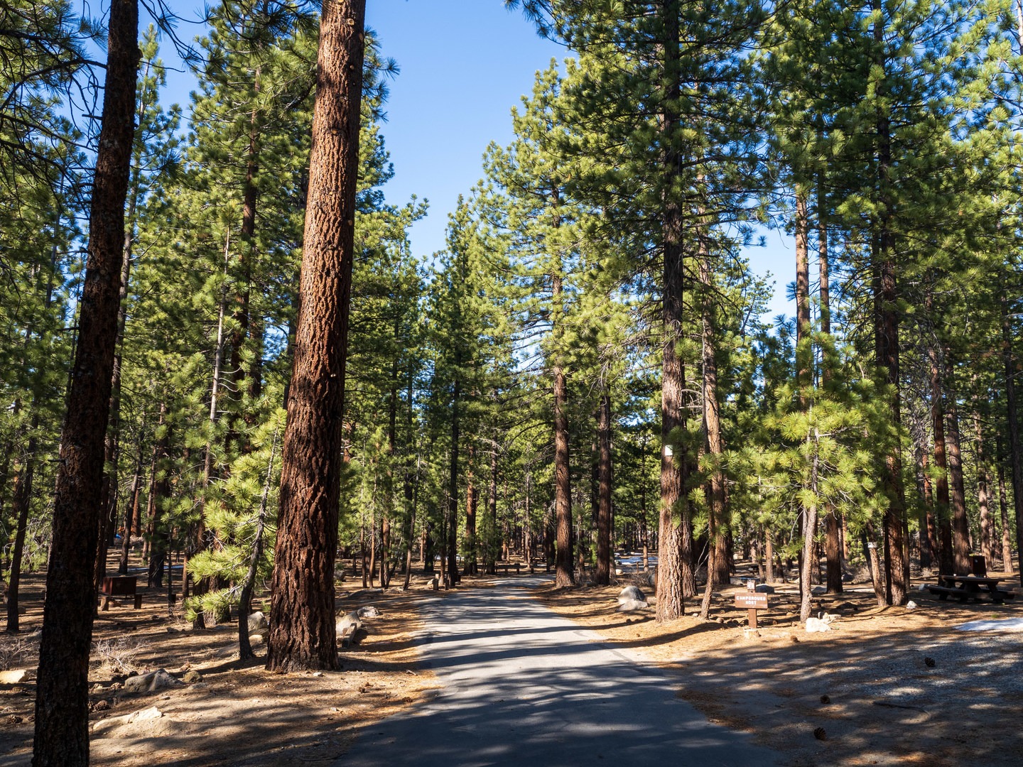 Old Shady Rest Campground | Outdoor Project