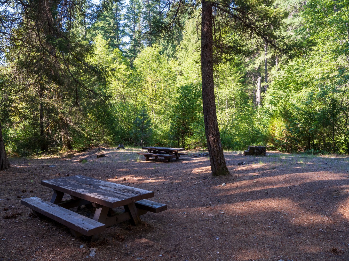 Escape to Rush Creek: Your Northern California Campground Adventure