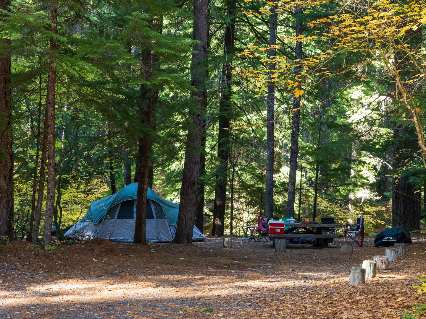 Oregon's Whitehorse Falls: A Campground Adventure Awaits!