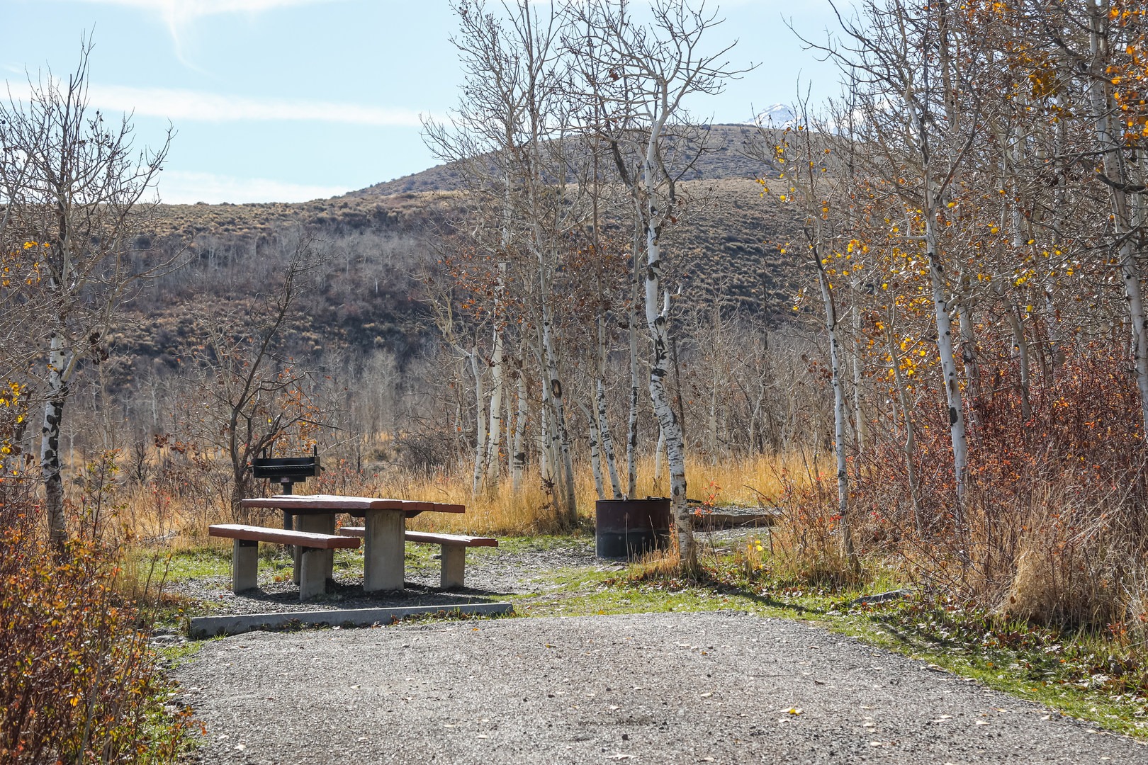 Escape to Enchantment: Your Guide to Colorado's Angel Creek Campground