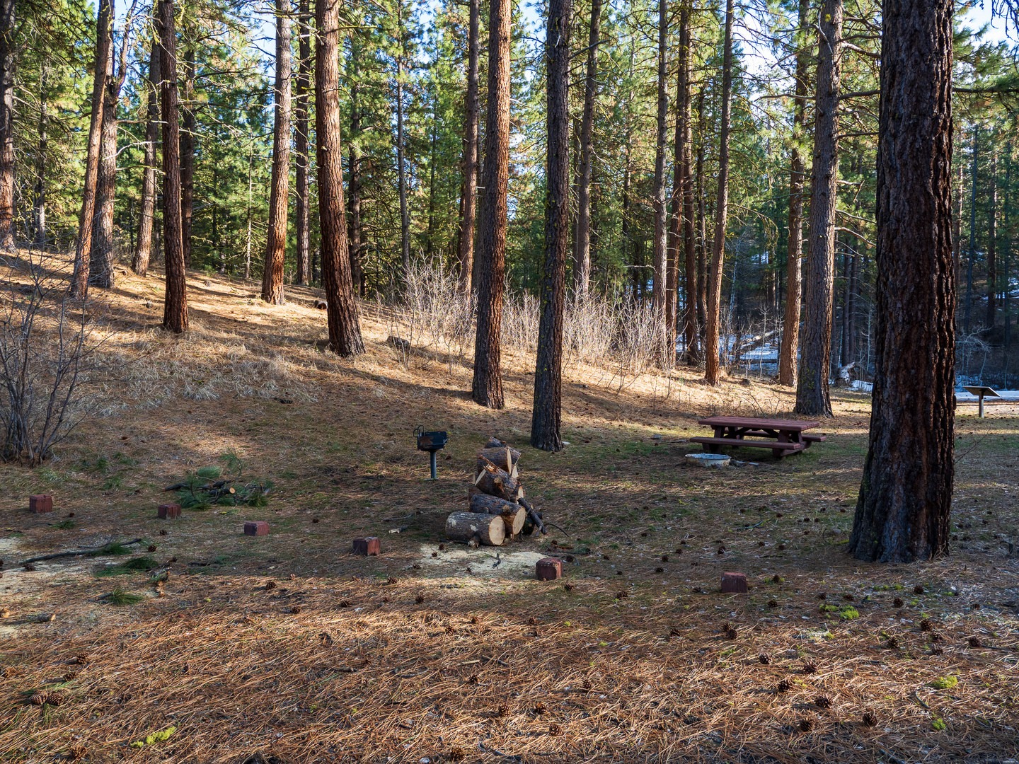 Escape to Howards Gulch: Your Northern California Campground Adventure