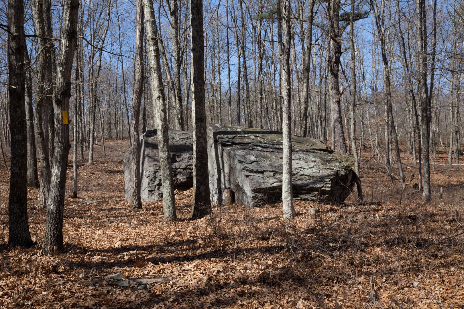 Henry's Crossing Trail | Outdoor Project