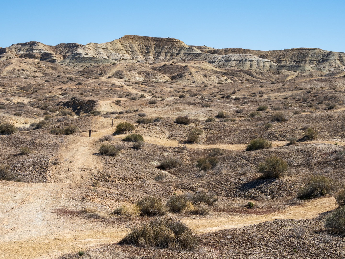 White Dome + Lowland Trail Loop | Outdoor Project