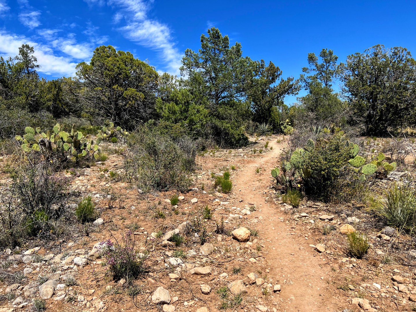 Arizona Trail Passage 25: Whiterock Mesa | Outdoor Project