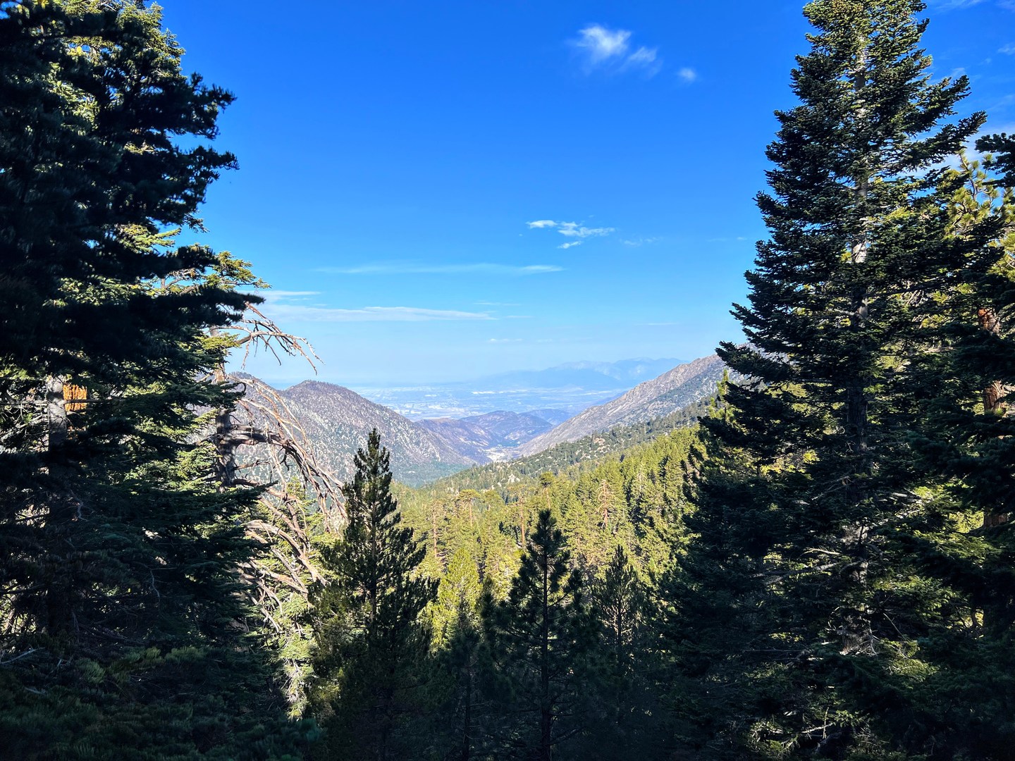 Vivian creek clearance campground